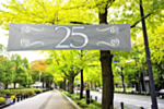 Silverbröllop Banner