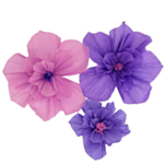 Crepe Pappersblommor Lila Mix