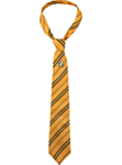 Harry Potter® Hufflepuff Slips & Emblem