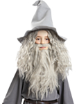 Sagan om Ringen® Gandalf Peruk & Skägg Barn