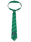 Harry Potter® Slytherin Barnslips