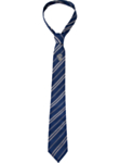 Harry Potter® Ravenclaw Slips & Emblem