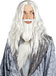 Harry Potter® Dumbledore Peruk & Skägg