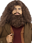 Harry Potter® Hagrid Peruk & Skägg