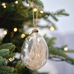 Pampasgräs Glas Julgranskula