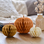 Pumpa Honeycombs