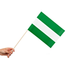 Rotterdam Flagga På Pinne