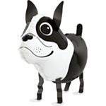 Boston Terrier Folieballong