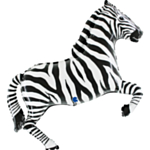 Zebra Folieballong