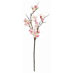 Körsbärskvist Rosa