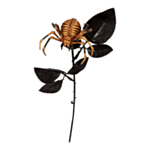Spindel Blomma