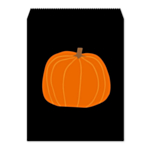 Pumpa Partypåsar