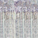 Glittergardin Holografisk
