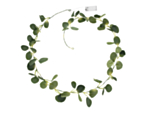 Eukalyptus LED Girlan