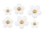 Blommor Ballongbuketter