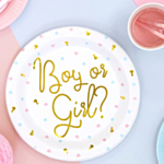 Boy Or Girl Papptallrikar