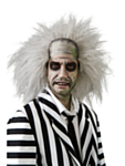 Beetlejuice® Peruk