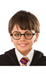 Harry Potter® Glasögon