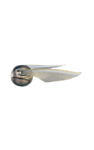 Harry Potter® Den Gyllene Kvicken