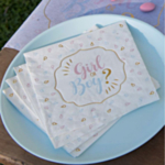 Boy Or Girl Servetter