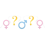 Gender Reveal Girlang