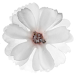 Konstgjorda Blommor Vita