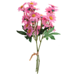 Prästkrage Bukett Ljusrosa