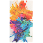 Color Splash Bestickfickor