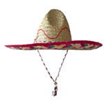 Sombrero Hatt Flerfärgad