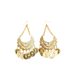 Mynt Örhängen
