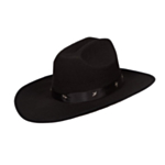 Cowboyhatt Med Nitar Svart