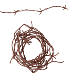 Taggtråd Brun