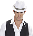 Panama Fedora Vit