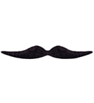 Mexikansk Mustasch
