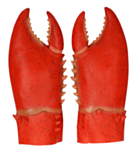 Krabbklor