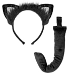 Kattset