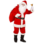 Professionell Jultomtedräkt