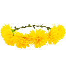 Blommigt Hårband Gul