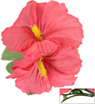 Hibiskus Hårklämma Ljusrosa