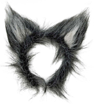 Varg Diadem