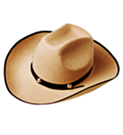 James Cowboyhatt Beige