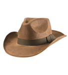 Indiana Hatt