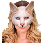 Kattmask