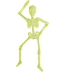 Glow In The Dark Skelett