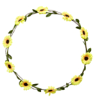 Blommor Pannband