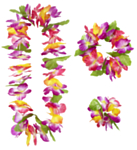 Muana Hawaiiset