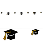 Gradueringshatt Girlang