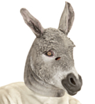 Åsnemask