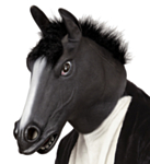 Svart Häst Mask