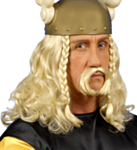 Obelix peruk med skägg